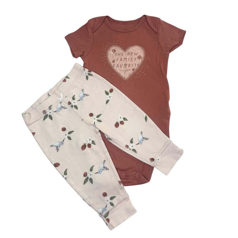Carter's Bodysuit Bundle Baby Girl Hummingbird Heart Brown 9 Months